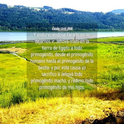 Picture 04 - Éxodo 13:15 RVA - Y endureciéndose Faraón en no dejarnos ir, - Bible Verse Picture