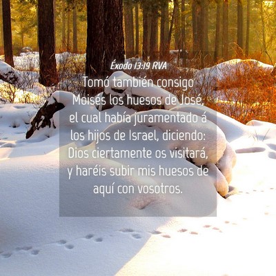 Picture 04 - Éxodo 13:19 RVA - Tomó también consigo Moisés los huesos de - Bible Verse Picture