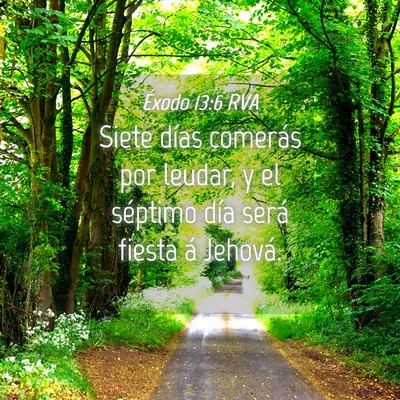 Picture 04 - Éxodo 13:6 RVA - Siete días comerás por leudar, y el séptimo - Bible Verse Picture