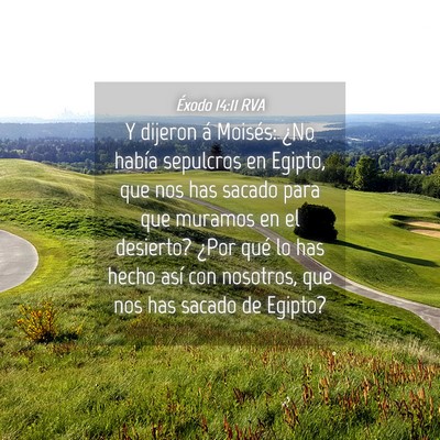 Picture 04 - Éxodo 14:11 RVA - Y dijeron á Moisés: ¿No había sepulcros en - Bible Verse Picture