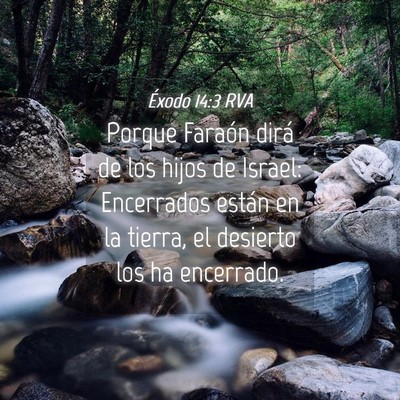 Picture 04 - Éxodo 14:3 RVA - Porque Faraón dirá de los hijos de Israel: - Bible Verse Picture