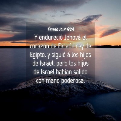 Picture 04 - Éxodo 14:8 RVA - Y endureció Jehová el corazón de Faraón rey - Bible Verse Picture