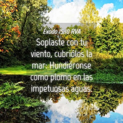 Picture 04 - Éxodo 15:10 RVA - Soplaste con tu viento, cubriólos la mar: - Bible Verse Picture