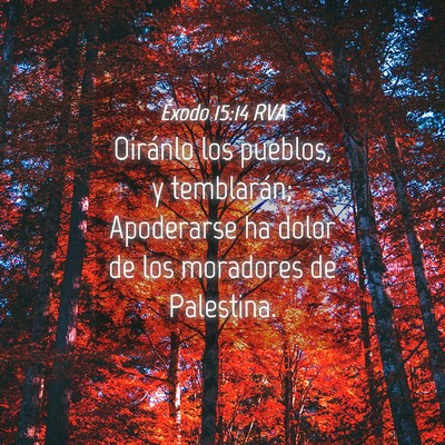 Picture 04 - Éxodo 15:14 RVA - Oiránlo los pueblos, y temblarán; Apoderarse ha - Bible Verse Picture