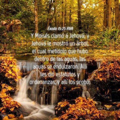 Picture 04 - Éxodo 15:25 RVA - Y Moisés clamó á Jehová; y Jehová le mostró - Bible Verse Picture
