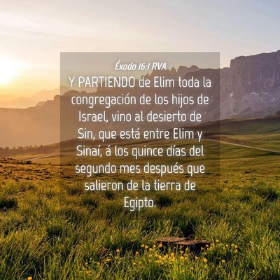 Picture 04 - Éxodo 16:1 RVA - Y PARTIENDO de Elim toda la congregación de los - Bible Verse Picture