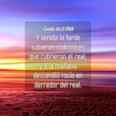 Picture 04 - Éxodo 16:13 RVA - Y venida la tarde subieron codornices que - Bible Verse Picture