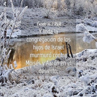 Picture 04 - Éxodo 16:2 RVA - Y toda la congregación de los hijos de Israel - Bible Verse Picture