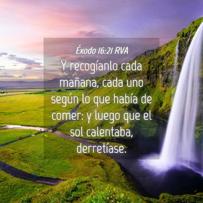 Picture 04 - Éxodo 16:21 RVA - Y recogíanlo cada mañana, cada uno según lo - Bible Verse Picture