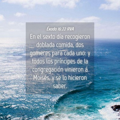 Picture 04 - Éxodo 16:22 RVA - En el sexto día recogieron doblada comida, dos - Bible Verse Picture