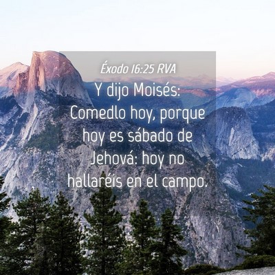 Picture 04 - Éxodo 16:25 RVA - Y dijo Moisés: Comedlo hoy, porque hoy es - Bible Verse Picture