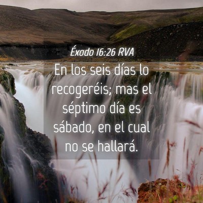 Picture 04 - Éxodo 16:26 RVA - En los seis días lo recogeréis; mas el séptimo - Bible Verse Picture