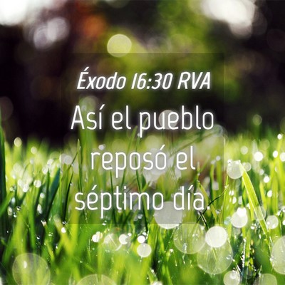Picture 04 - Éxodo 16:30 RVA - Así el pueblo reposó el séptimo - Bible Verse Picture