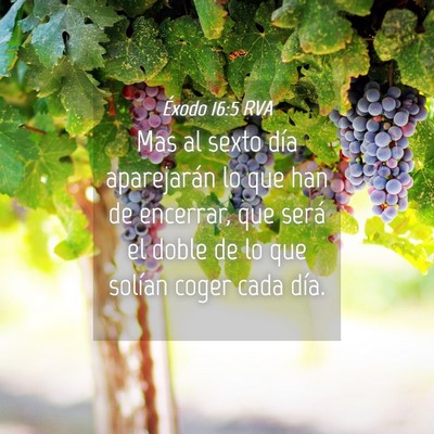 Picture 04 - Éxodo 16:5 RVA - Mas al sexto día aparejarán lo que han de - Bible Verse Picture