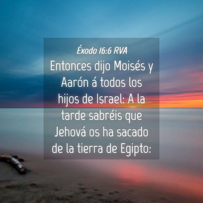 Picture 04 - Éxodo 16:6 RVA - Entonces dijo Moisés y Aarón á todos los hijos - Bible Verse Picture