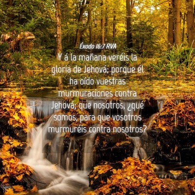 Picture 04 - Éxodo 16:7 RVA - Y á la mañana veréis la gloria de Jehová; - Bible Verse Picture