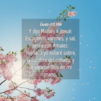 Picture 04 - Éxodo 17:9 RVA - Y dijo Moisés á Josué: Escógenos varones, y - Bible Verse Picture