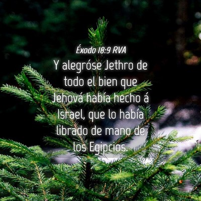 Picture 04 - Éxodo 18:9 RVA - Y alegróse Jethro de todo el bien que Jehová - Bible Verse Picture