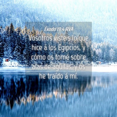 Picture 04 - Éxodo 19:4 RVA - Vosotros visteis lo que hice á los Egipcios, y - Bible Verse Picture