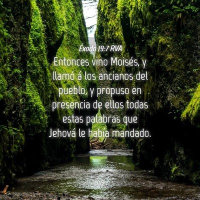 Picture 04 - Éxodo 19:7 RVA - Entonces vino Moisés, y llamó á los ancianos - Bible Verse Picture