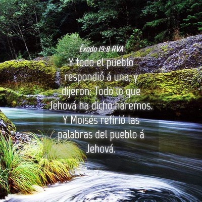 Picture 04 - Éxodo 19:8 RVA - Y todo el pueblo respondió á una, y dijeron: - Bible Verse Picture