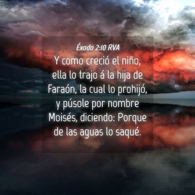 Picture 04 - Éxodo 2:10 RVA - Y como creció el niño, ella lo trajo á la hija - Bible Verse Picture
