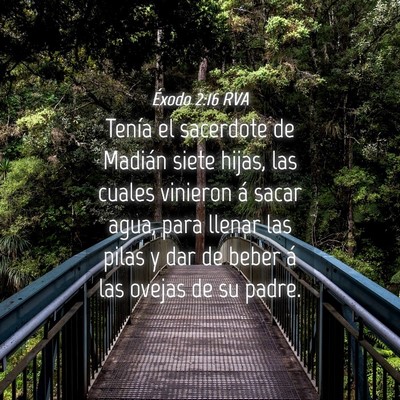 Picture 04 - Éxodo 2:16 RVA - Tenía el sacerdote de Madián siete hijas, las - Bible Verse Picture