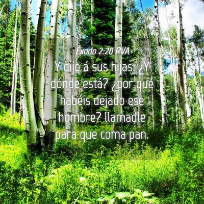 Picture 04 - Éxodo 2:20 RVA - Y dijo á sus hijas: ¿Y dónde está? ¿por qué - Bible Verse Picture
