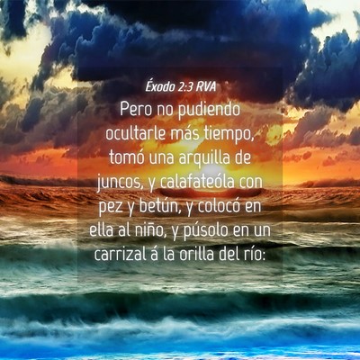Picture 04 - Éxodo 2:3 RVA - Pero no pudiendo ocultarle más tiempo, tomó una - Bible Verse Picture