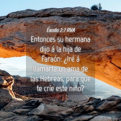 Picture 04 - Éxodo 2:7 RVA - Entonces su hermana dijo á la hija de Faraón: - Bible Verse Picture
