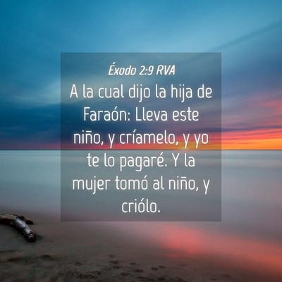 Picture 04 - Éxodo 2:9 RVA - A la cual dijo la hija de Faraón: Lleva este - Bible Verse Picture
