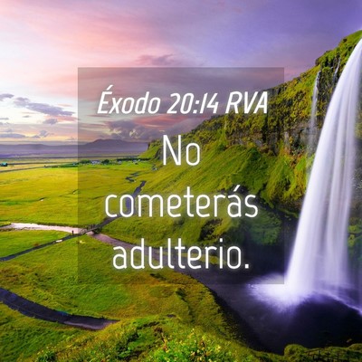 Picture 04 - Éxodo 20:14 RVA - No cometerás - Bible Verse Picture
