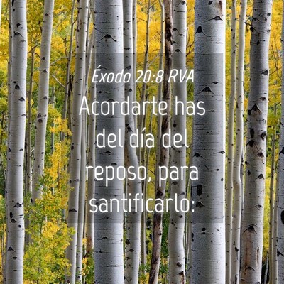 Picture 04 - Éxodo 20:8 RVA - Acordarte has del día del reposo, para - Bible Verse Picture