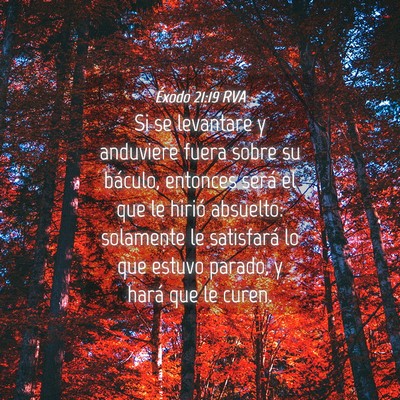 Picture 04 - Éxodo 21:19 RVA - Si se levantare y anduviere fuera sobre su - Bible Verse Picture
