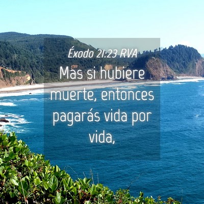 Picture 04 - Éxodo 21:23 RVA - Mas si hubiere muerte, entonces pagarás vida por - Bible Verse Picture