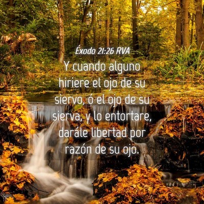 Picture 04 - Éxodo 21:26 RVA - Y cuando alguno hiriere el ojo de su siervo, ó - Bible Verse Picture
