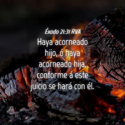Picture 04 - Éxodo 21:31 RVA - Haya acorneado hijo, ó haya acorneado hija, - Bible Verse Picture