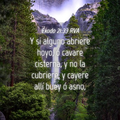 Picture 04 - Éxodo 21:33 RVA - Y si alguno abriere hoyo, ó cavare cisterna, y - Bible Verse Picture