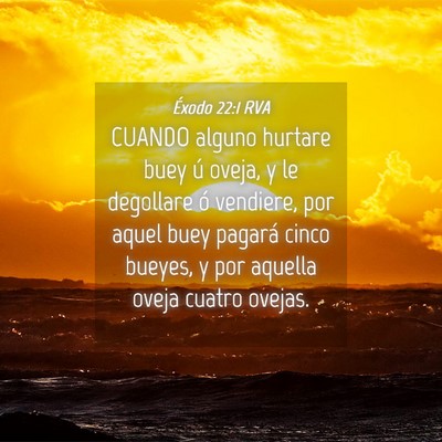 Picture 04 - Éxodo 22:1 RVA - CUANDO alguno hurtare buey ú oveja, y le - Bible Verse Picture