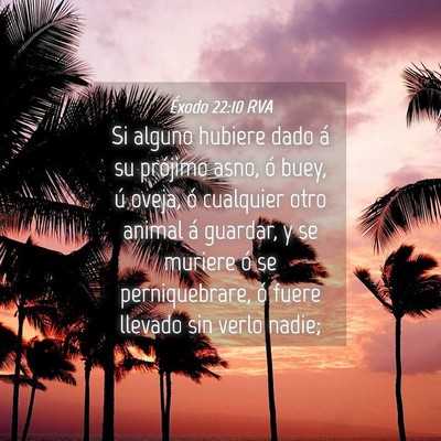 Picture 04 - Éxodo 22:10 RVA - Si alguno hubiere dado á su prójimo asno, ó - Bible Verse Picture