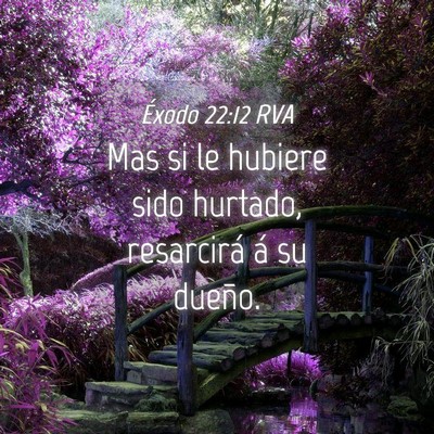Picture 04 - Éxodo 22:12 RVA - Mas si le hubiere sido hurtado, resarcirá á su - Bible Verse Picture