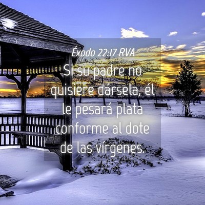 Picture 04 - Éxodo 22:17 RVA - Si su padre no quisiere dársela, él le pesará - Bible Verse Picture