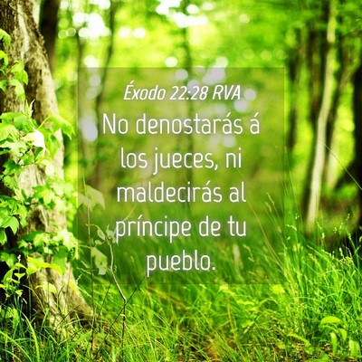 Picture 04 - Éxodo 22:28 RVA - No denostarás á los jueces, ni maldecirás al - Bible Verse Picture