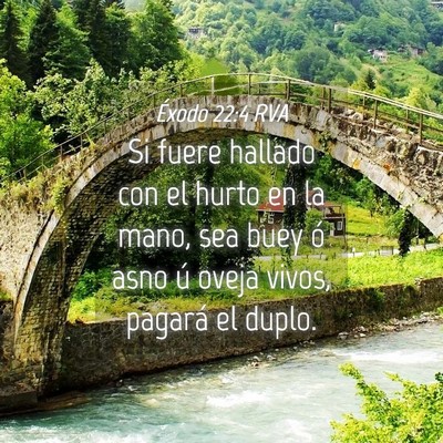 Picture 04 - Éxodo 22:4 RVA - Si fuere hallado con el hurto en la mano, sea - Bible Verse Picture