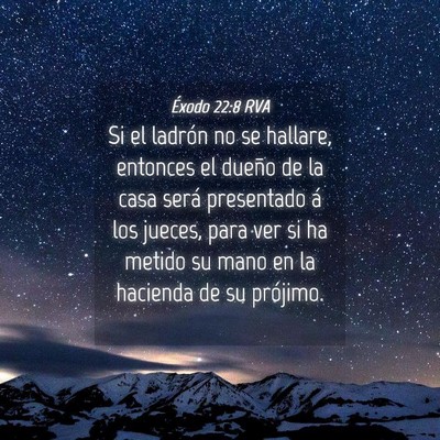 Picture 04 - Éxodo 22:8 RVA - Si el ladrón no se hallare, entonces el dueño - Bible Verse Picture