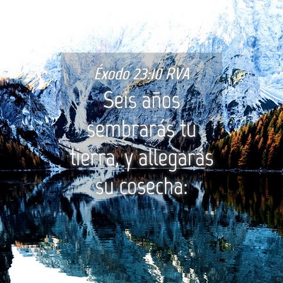 Picture 04 - Éxodo 23:10 RVA - Seis años sembrarás tu tierra, y allegarás su - Bible Verse Picture