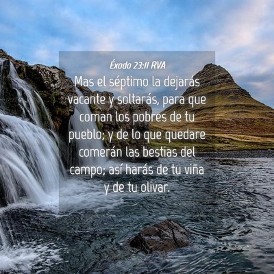 Picture 04 - Éxodo 23:11 RVA - Mas el séptimo la dejarás vacante y soltarás, - Bible Verse Picture
