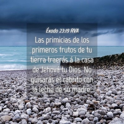 Picture 04 - Éxodo 23:19 RVA - Las primicias de los primeros frutos de tu tierra - Bible Verse Picture