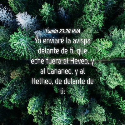 Picture 04 - Éxodo 23:28 RVA - Yo enviaré la avispa delante de ti, que eche - Bible Verse Picture