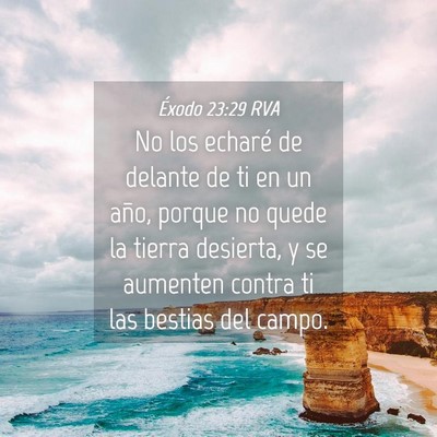 Picture 04 - Éxodo 23:29 RVA - No los echaré de delante de ti en un año, - Bible Verse Picture